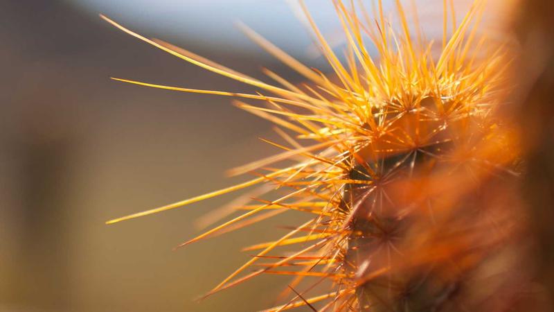 深度睡眠的秘密：如何获得更多修复性睡眠